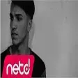 Dodo - Nerdeysen