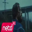 Aydın Kurtoğlu - Çiçek