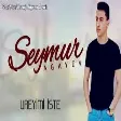 Seymur Agayev - Ureyimi İste 2020