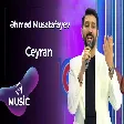 Əhməd Musatafayev - Ceyran