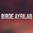 Namiq Qasimov - Birde Ayrilaq mp3 yukle