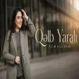 Almaxanım - Qəlb Yaralı