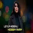 Leyla Hesenli - Hebibim Anam
