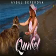 Aygul Seferova - Qurbet
