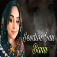 Banu - Sevdim Onu
