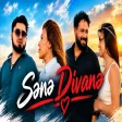 Mahmud Mikayıllı & Novruz Novruzzade - Sene Divane