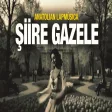 Şiire Gazele | Senin Aşkın Beni Düşürdü Dile | Psychedelic Anatolian LapMusica