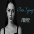 Nevin Doğanay - Kalmamış