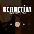 Ülvi Eliyev & Ferrux - Cenentim