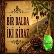Bir Dalda İki Kiraz (Türk Halk Müziği Enstrümental)