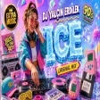 DJ Yalçın Erdilek - Ice (Original Mix)