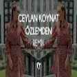 Ceylan Koynat - Özlemden ( Fatih Yılmaz Remix )