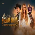Pegada Bruta Part. (Countryland. Vol.2