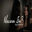 Xəyal Bəhərçinov - Necəsən Sən
