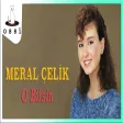 Meral Çelik - O Bilsin (Saner Plak)