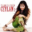 Ceylan - Arguvan'a Gidemem