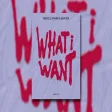 Fedde Le Grand & Quînten Mertns - What I Want