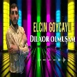Elcin Goycayli - Dilxor Olmusam 2021 (YUKLE)