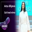 Arzu Əliyeva - Gəl inad etmə