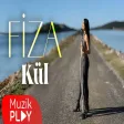 Fiza - Kül