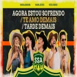 Maiara & Maraisa, Naiara, Fred & Fabricio - AGORA ESTOU SOFRENDOTE AMO DEMAISTARDE DEMAIS [ SSA ]