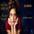 Nesrin Ersipahi - Bulamadım