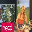 Behiye Aksoy - Arım Balım Peteğim