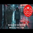 Ahmet Hatipoğlu ft. Abdullah Özdoğan - Sorun Bende (Remix)