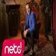 Ozan Orhon - Arı