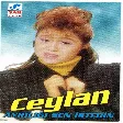 Ceylan - Ayrılığı Sen İstedin