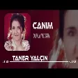 Damla Yıldırım - Şu Köylerin Üstüne ( Taner Yalçın Remix )