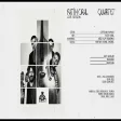 Fatih Oral Quartet - Tefekkür