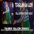 Sıla Şahin & Kerim Araz - Toparlanmam Lazım  (Taner Yalçın Remix)