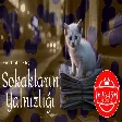 Abdullah Özdoğan - Sokakların Yalnızlığı