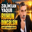 Zəlimxan Yaqub - Ruhun Dincəlsin Sakit Səslə Seçmə Şeirlər