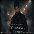 Ferid Ehmedzade - Cixmayacam Yollarina