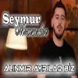Seymur Memmedov - Alinmir Ayrilaq Biz (YUKLE)
