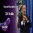 Cavad Rəcəbov - Dil bəla