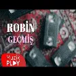 Robin - geçmiş