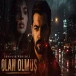 İbrahim Rəhimli - Olan Olmuş cover music