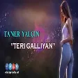 Indian Remix - Teri Galiyan (Taner Yalçın Remix)