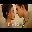 Aysel Əlizadə - Dəyişdin