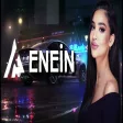 Elsen Pro - Enein