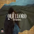 Sin Bandera - Que Lloro