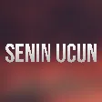 Ferid Qaragoz - Senin Ucun mp3 yukle