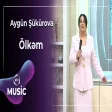 Aygün Şükürova - Ölkəm