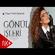 Cinare Melikzade - Gonul İsleri
