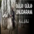 Perviz Bulbule - Gülə Gülə Unudaram 2021 (YUKLE)