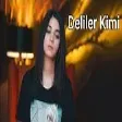 Sebine Celalzade - Deliler Kimi (YUKLE)