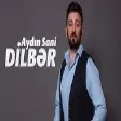 Aydin Sani - Dilber (YUKLE)